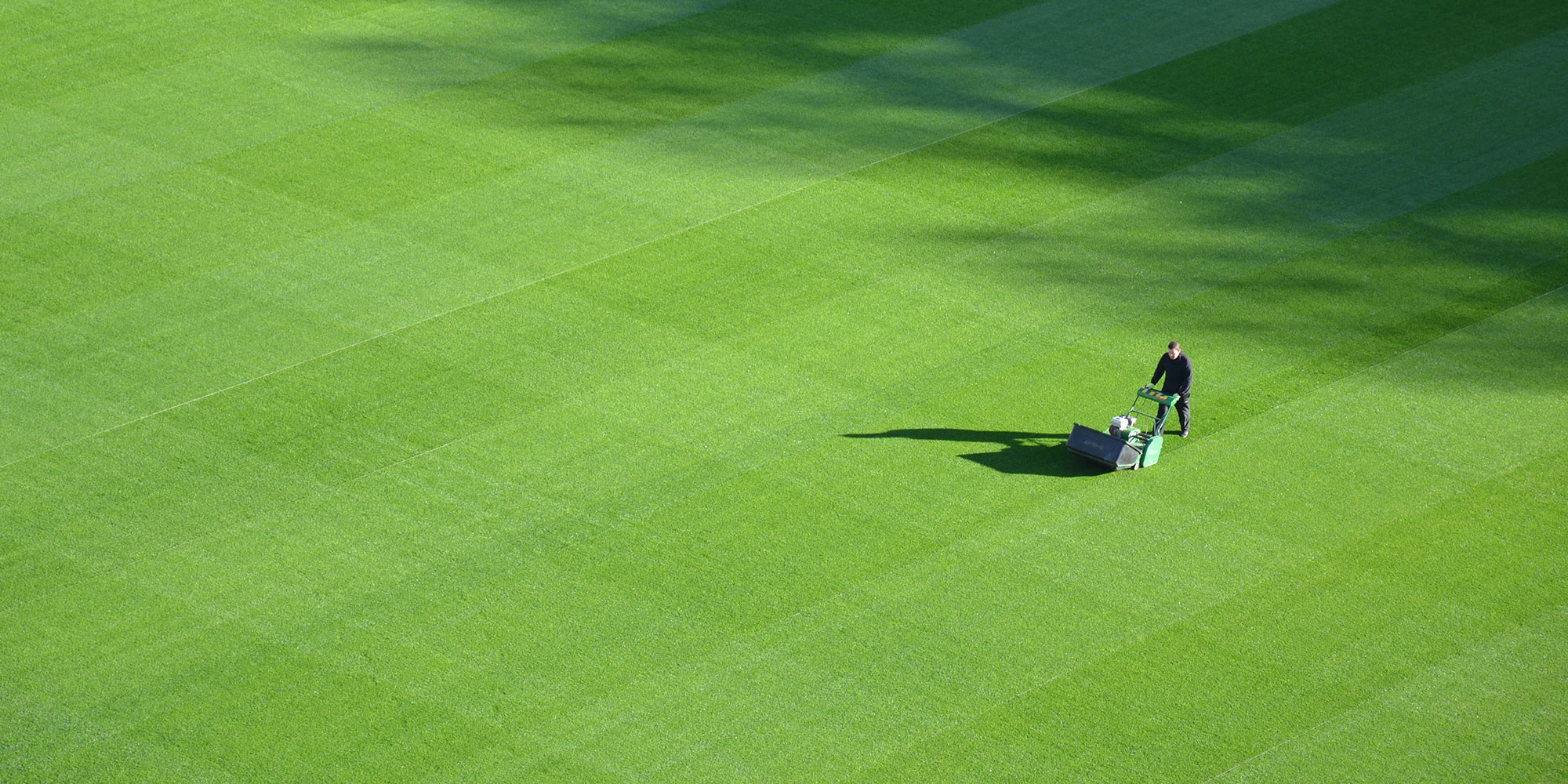Renovating a Sports Stadium: The Case of Seaview Football Ground